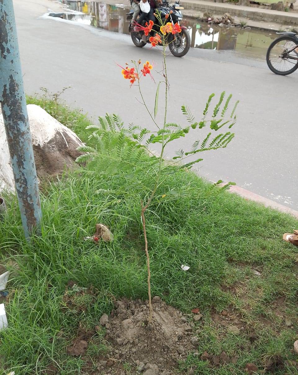 শিববাড়ী মোড়