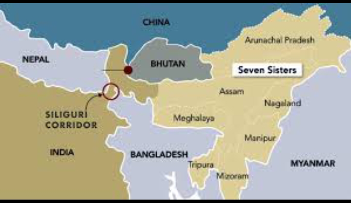 চিকেন নেক