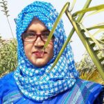 ডেপুটি কমিশনার