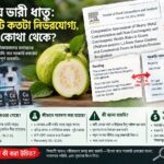 গবেষণা